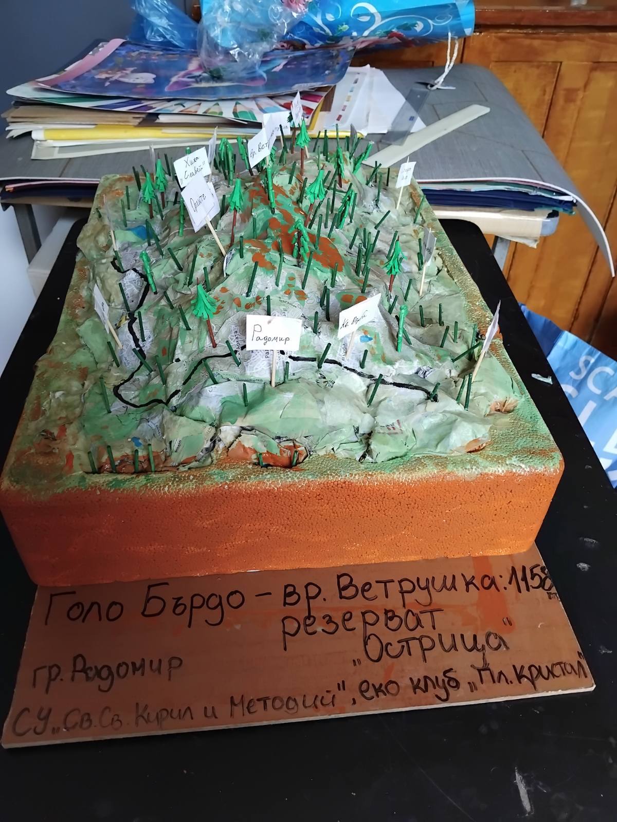 Снимка 3